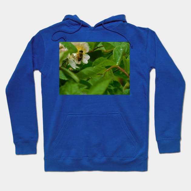 The Pollinator Hoodie by FriendlyComputerHelp